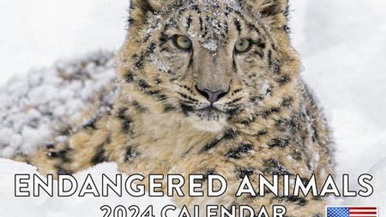 Endangered Species Calendar 2024