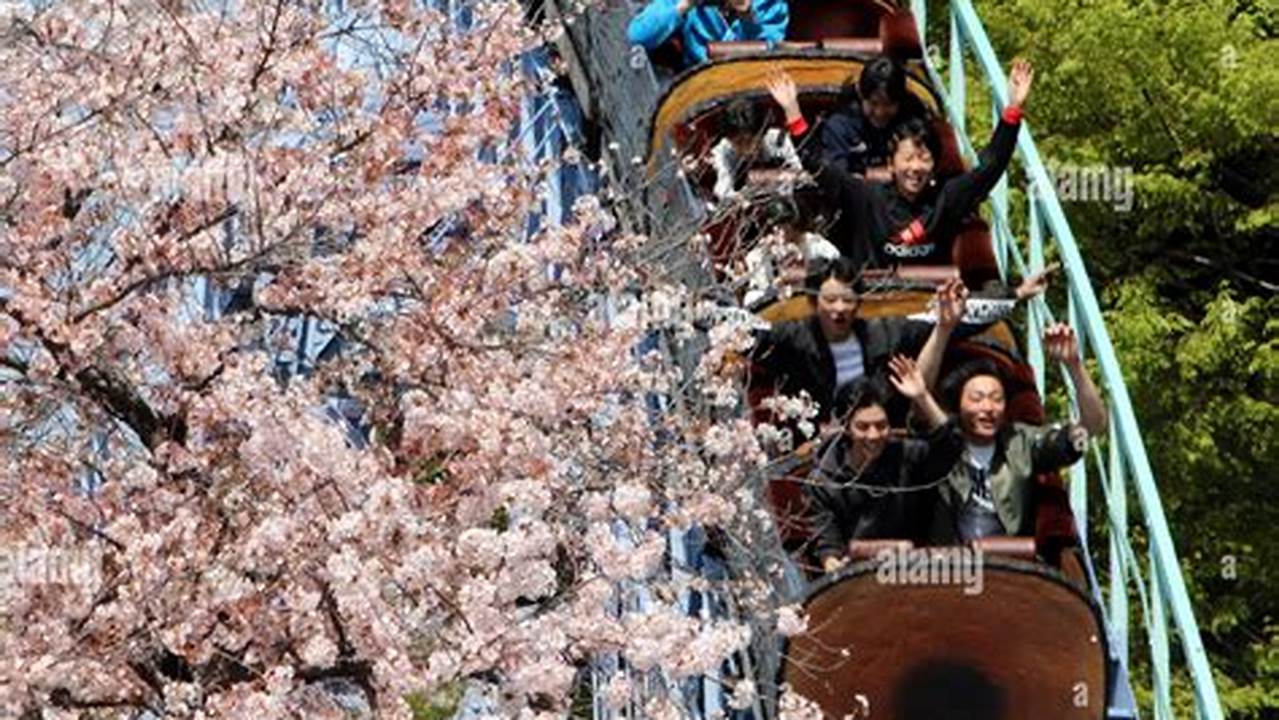 Enjoy Rollercoasters Soaring Through Cherry Blossom Archways., 2024