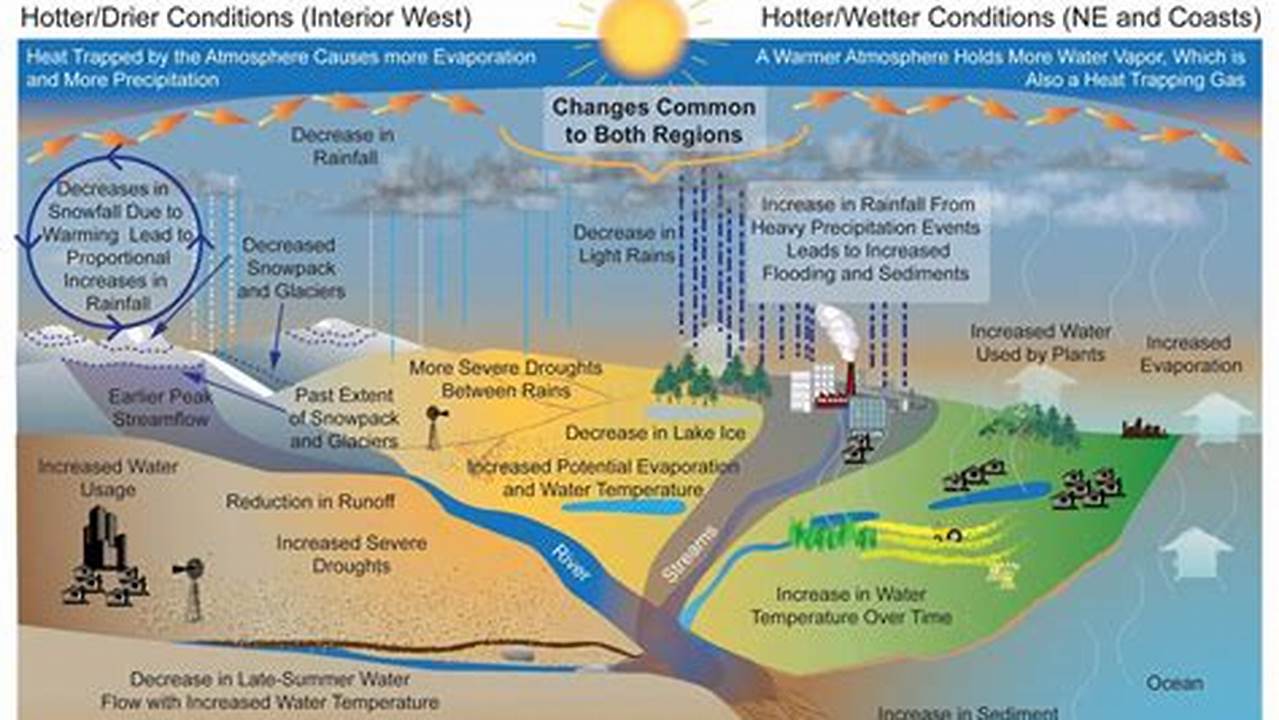 Environmental Impact, Water System