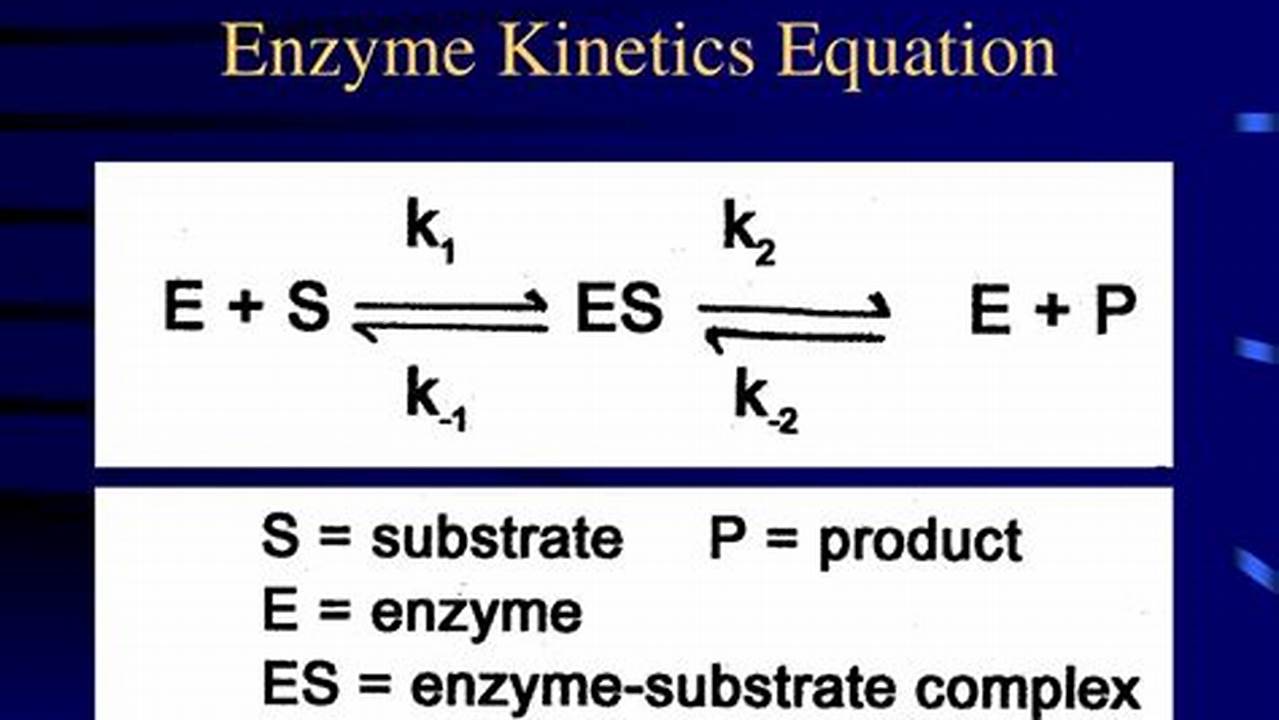 Enzyme Kinetics, Work
