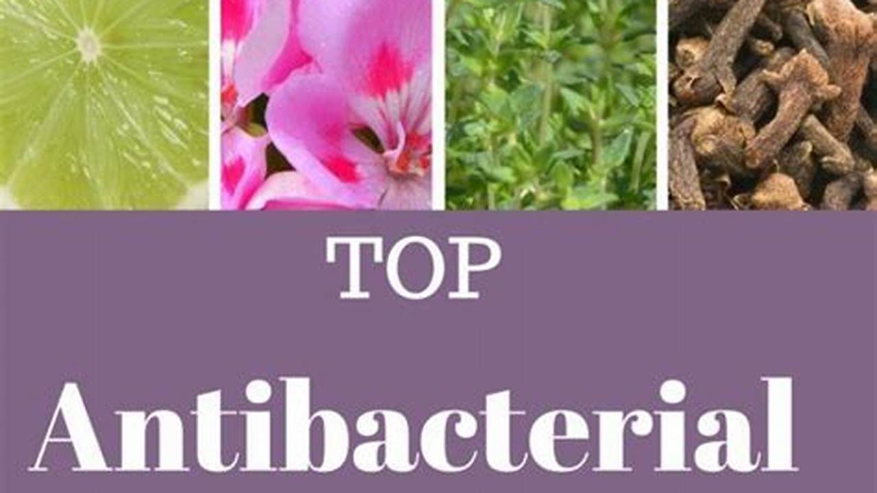 Essential Oils Have Antibacterial And Antifungal Properties., Aromatherapy
