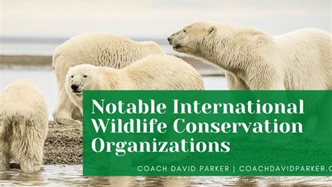 Establishment Of Organizations, Wildlife Conservation
