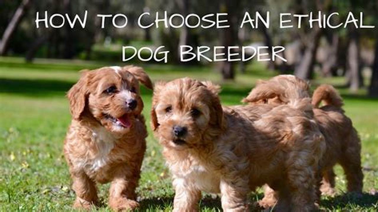 Ethics, Dog Breeds