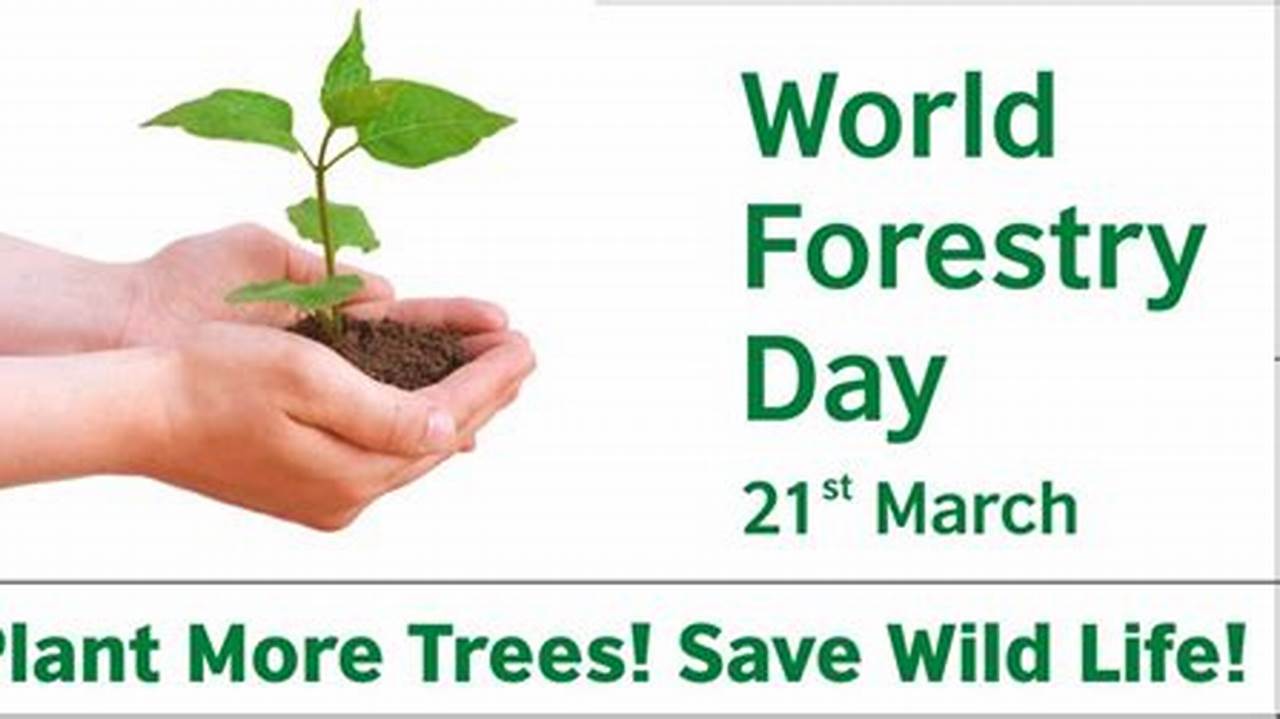 Every Year, World Forestry Day Is Observed On March 21., 2024