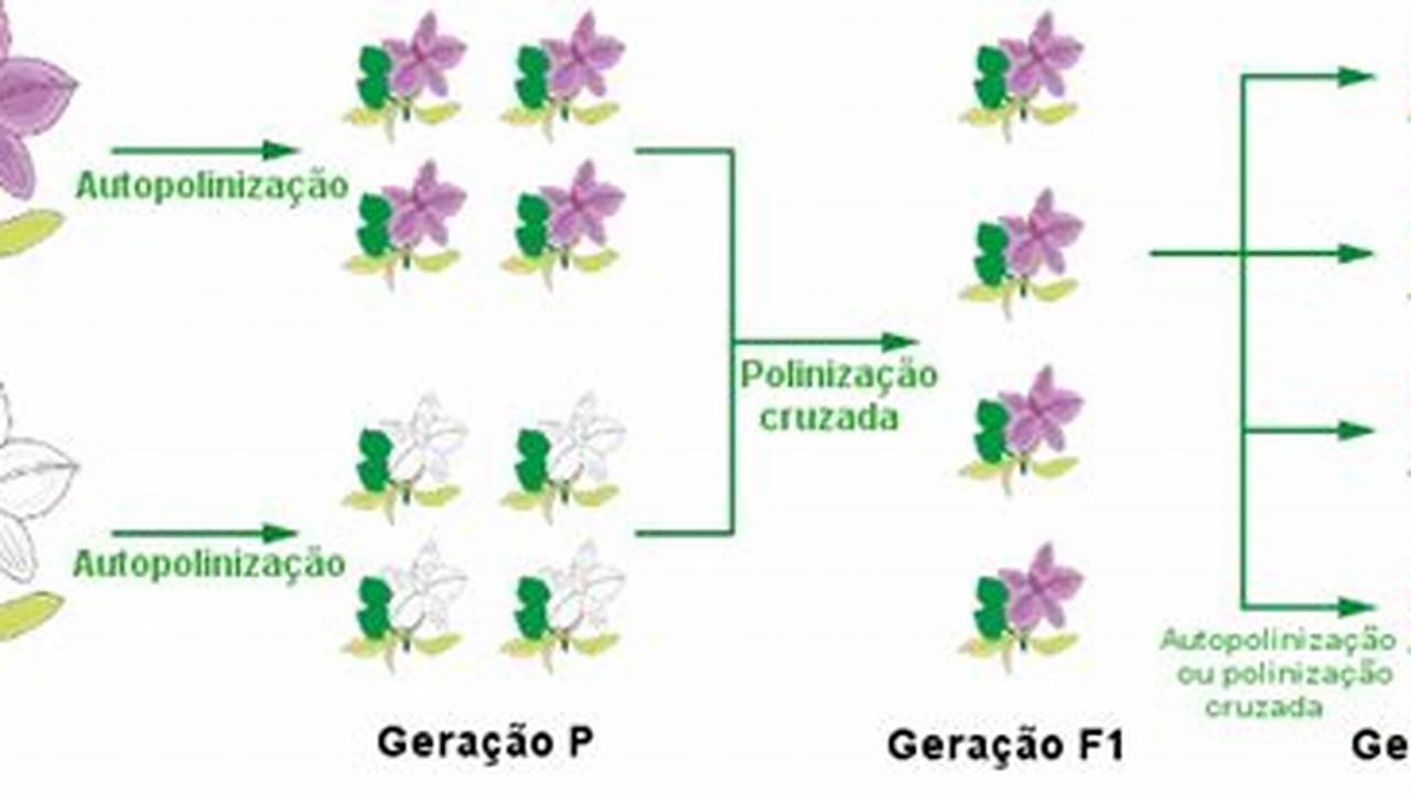 Exemplos De Cruzamento De Plantas Com Flores Vermelhas, Plantas