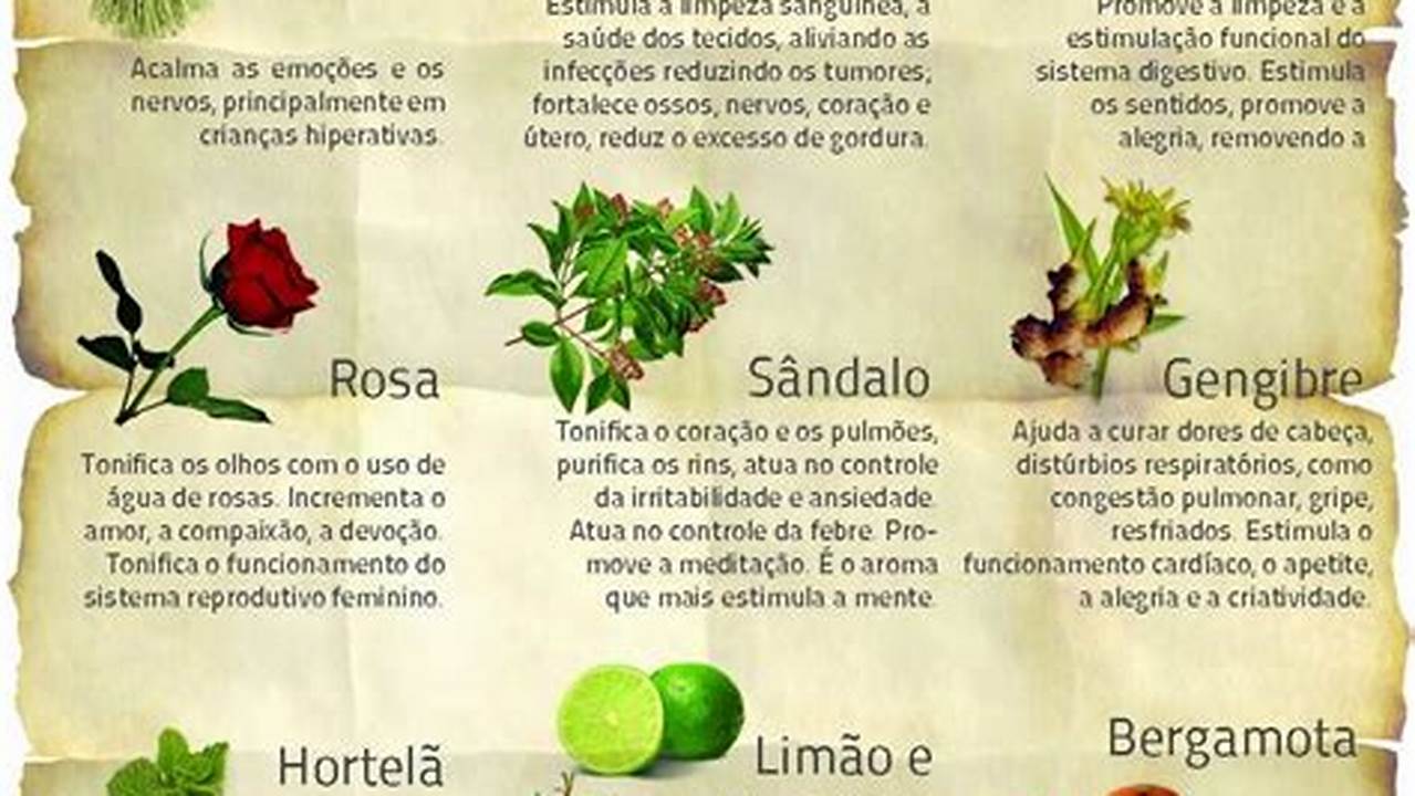 Exemplos De Plantas Medicinais E Seus Usos, Plantas