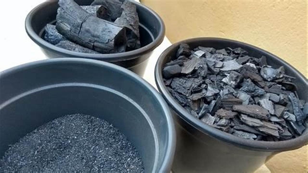 Exemplos De Uso De Carvão Nas Plantas, Plantas