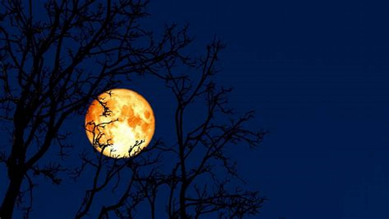 Expect To Witness The Full Worm Moon On March., 2024