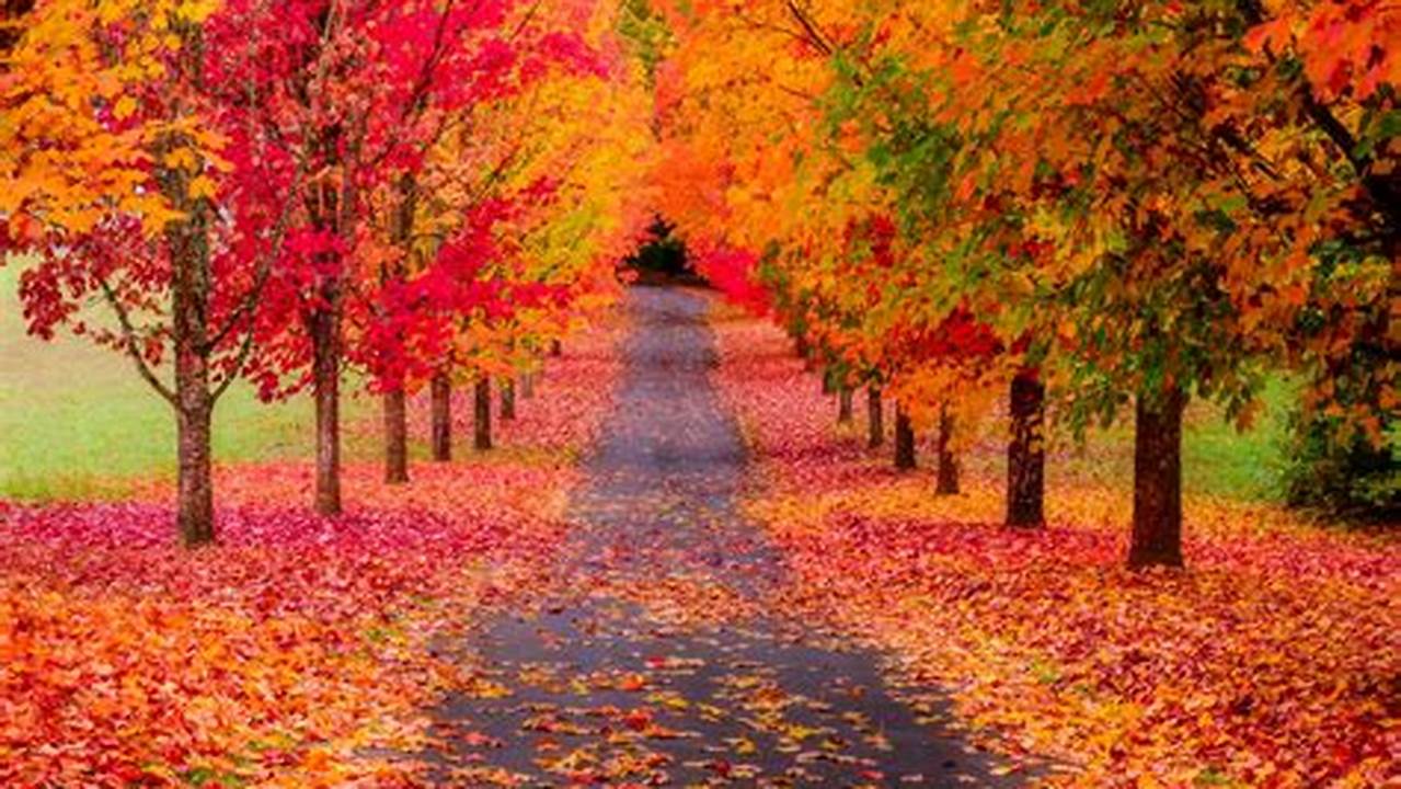Fall Colors In Oregon 2024