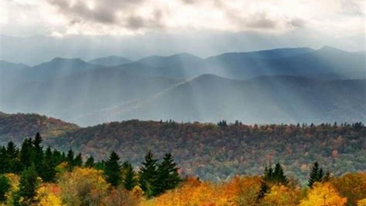 Fall Foliage Asheville Nc 2024