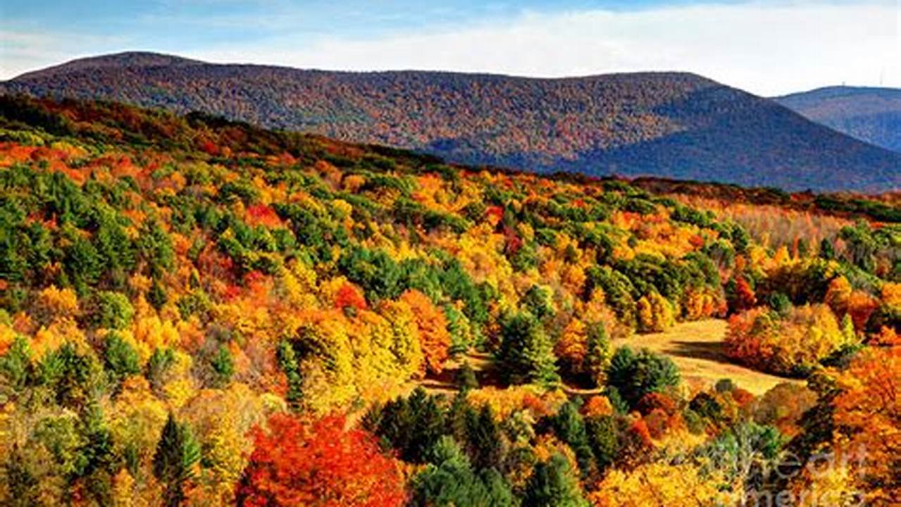 Fall Foliage Berkshires 2024