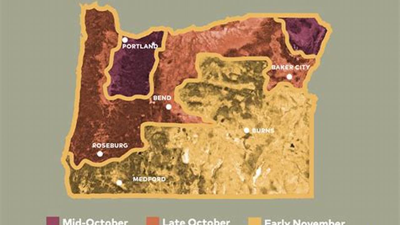 Fall Foliage In Oregon 2024