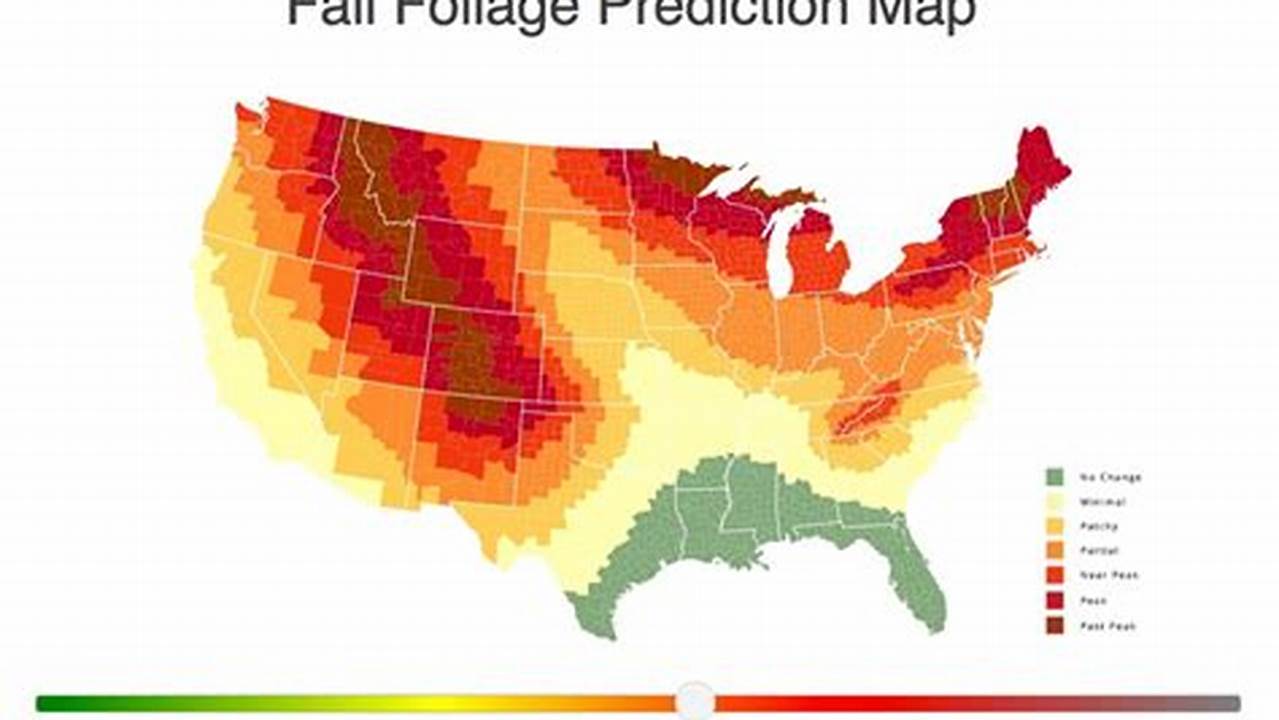 Fall Foliage Map Nj 2024