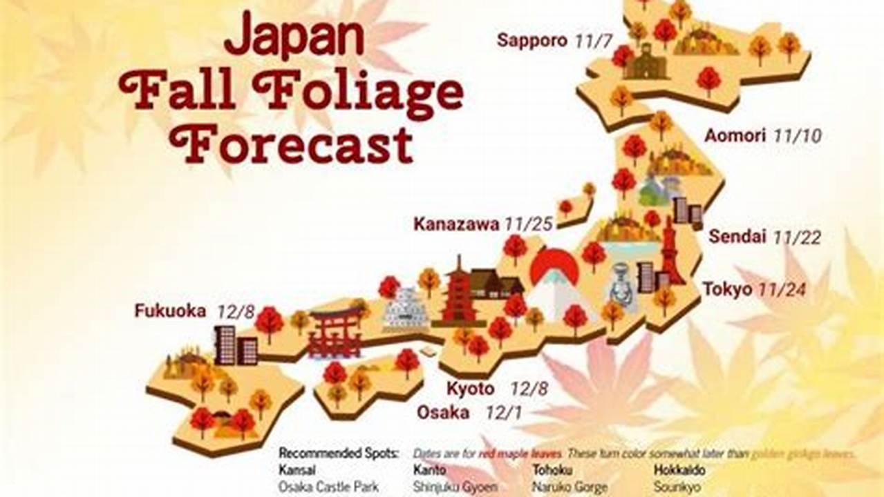 Fall Japan 2024
