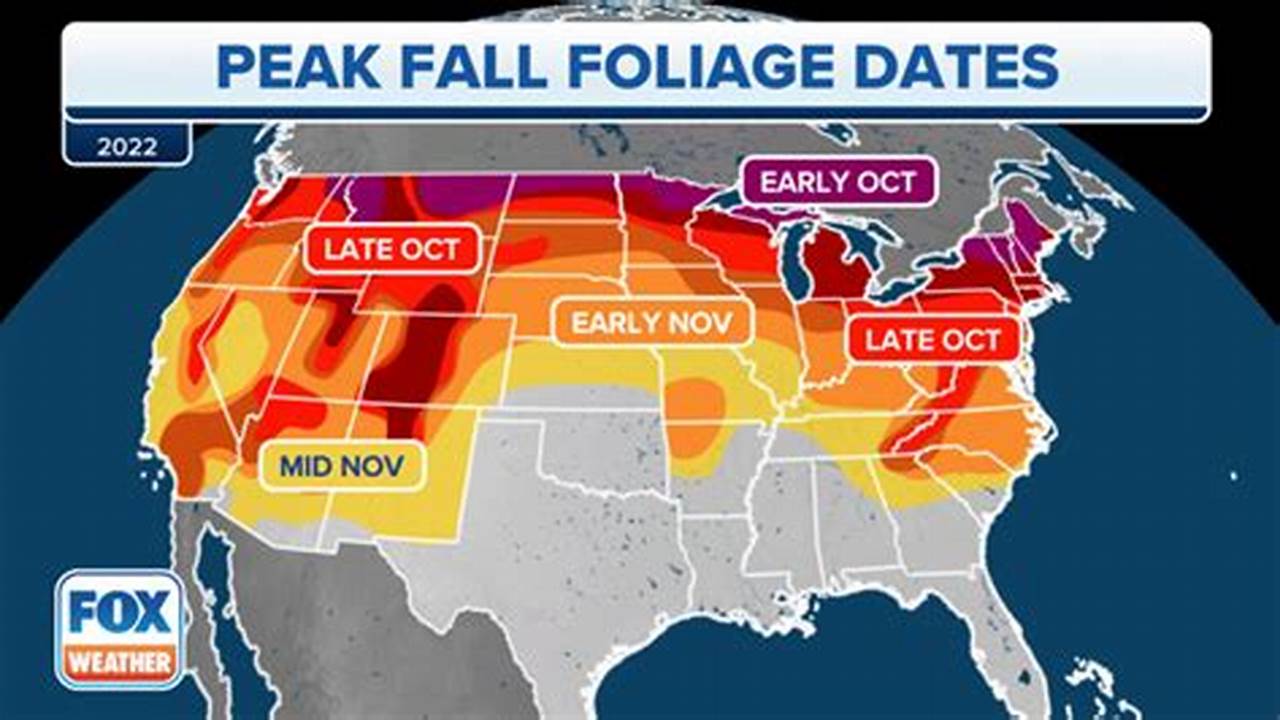 Fall Leaves Peak 2024