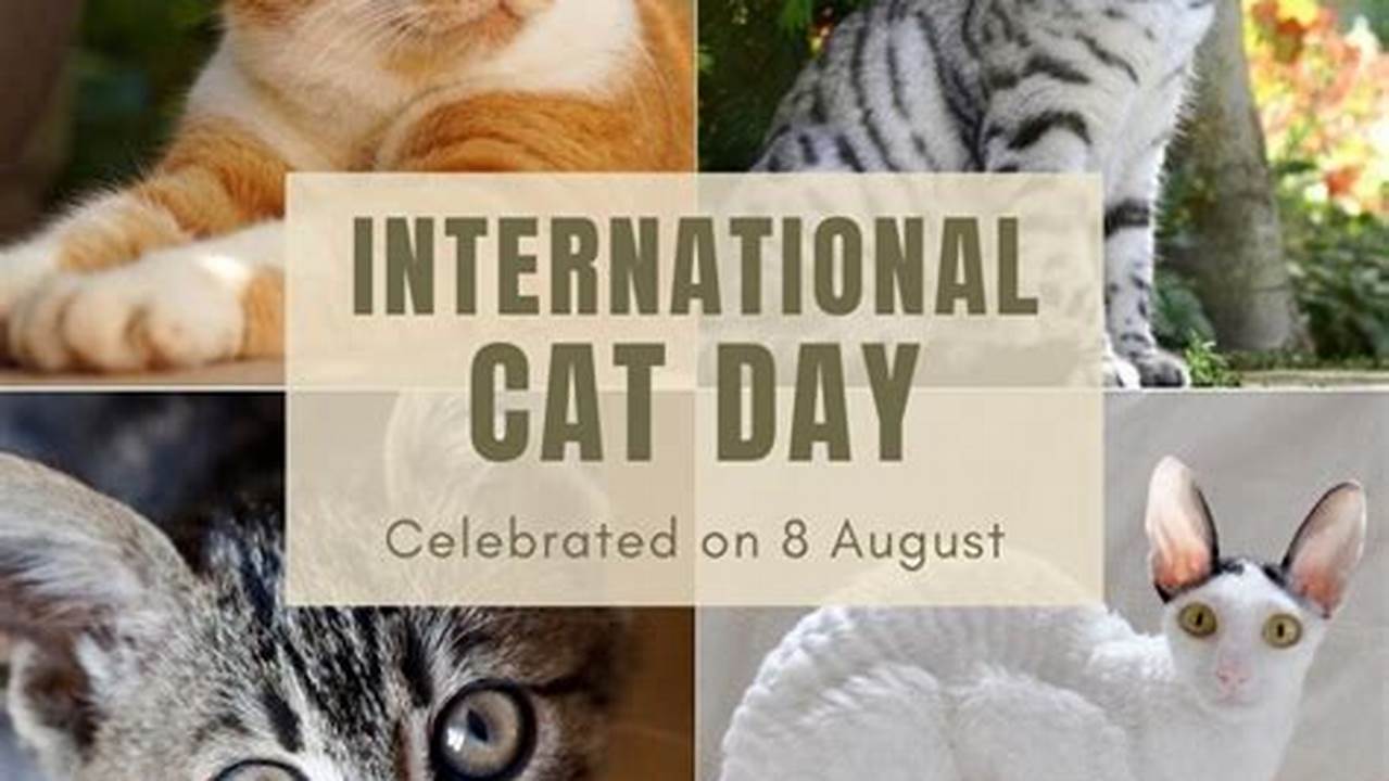 Find Out The Dates, History And Traditions Of Global Cat Day, 2024