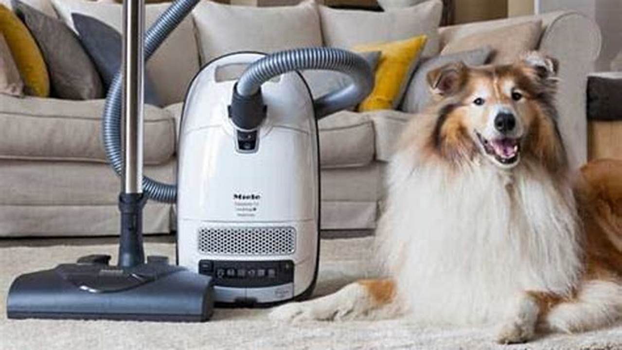 Find The Best Hoovers For Pet Hair In 2024, 2024