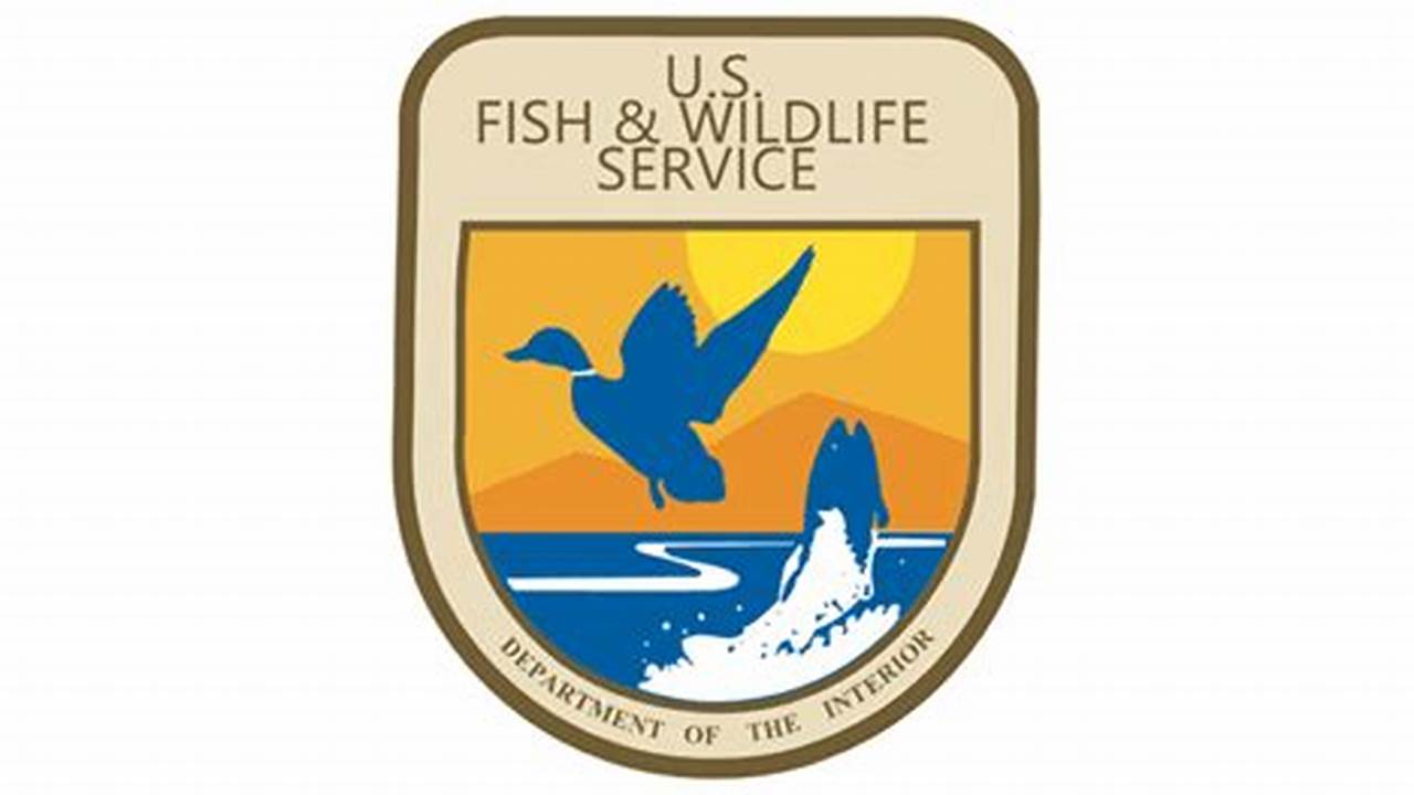 Fish And Wildlife Service Has Released A., 2024