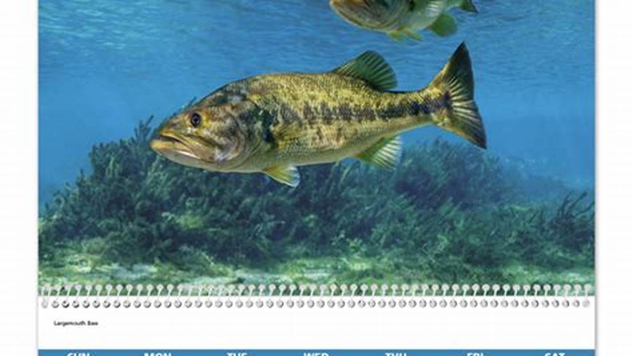 Fishing Calendar Ontario 2024