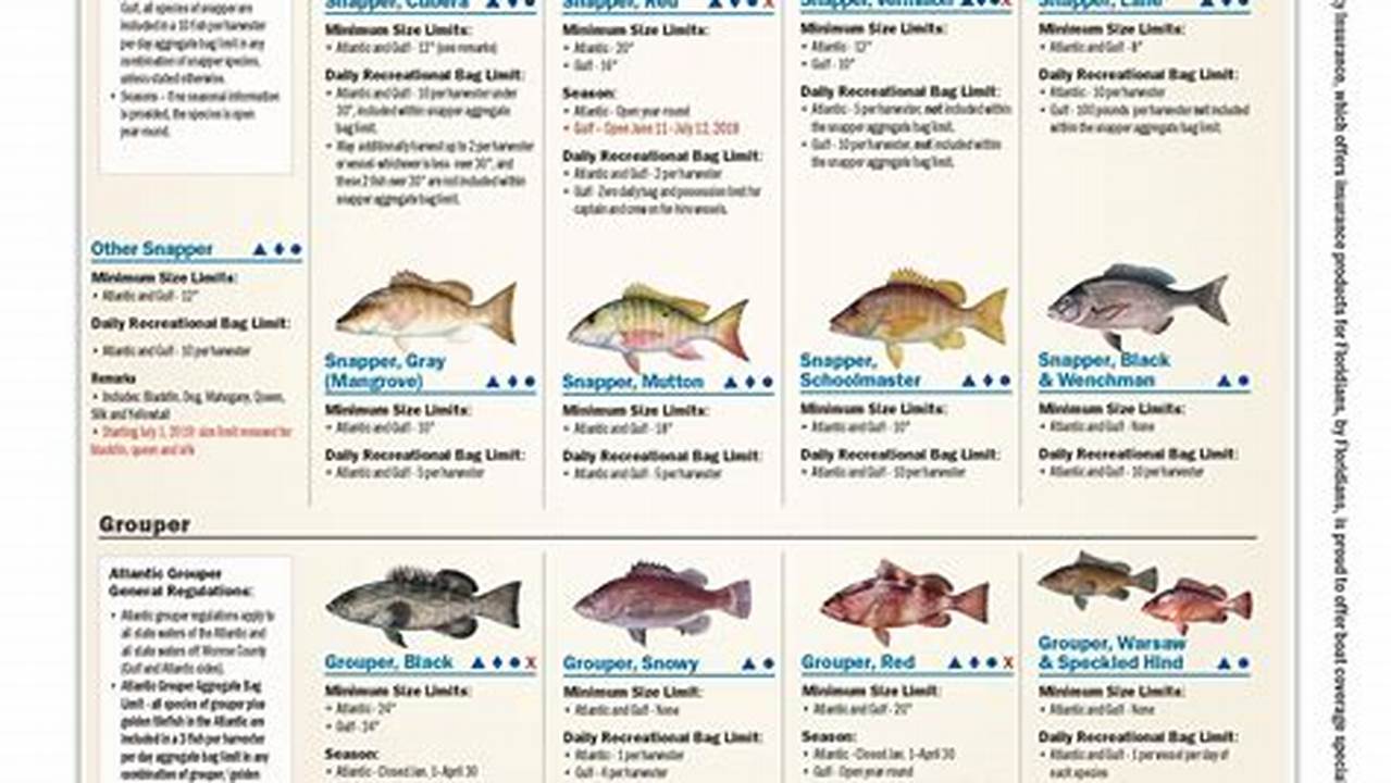 Florida Fishing Regulations 2024