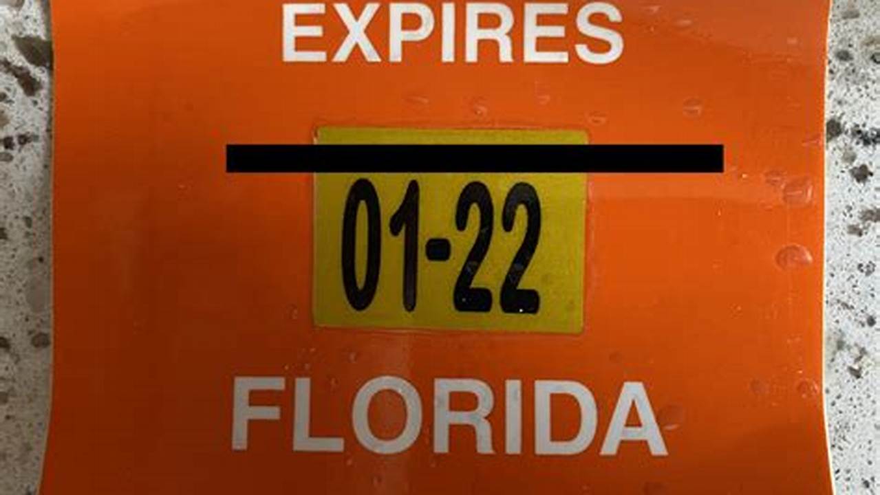 Florida Registration Sticker 2024