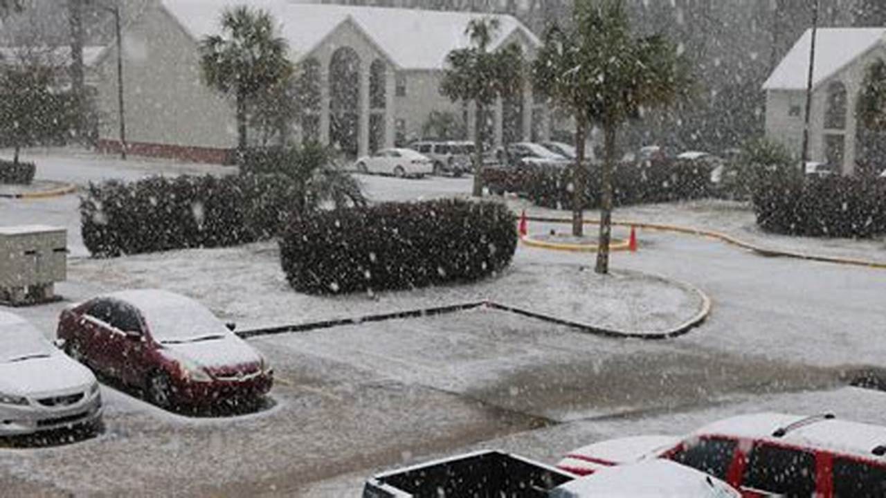 Florida Snow 2024