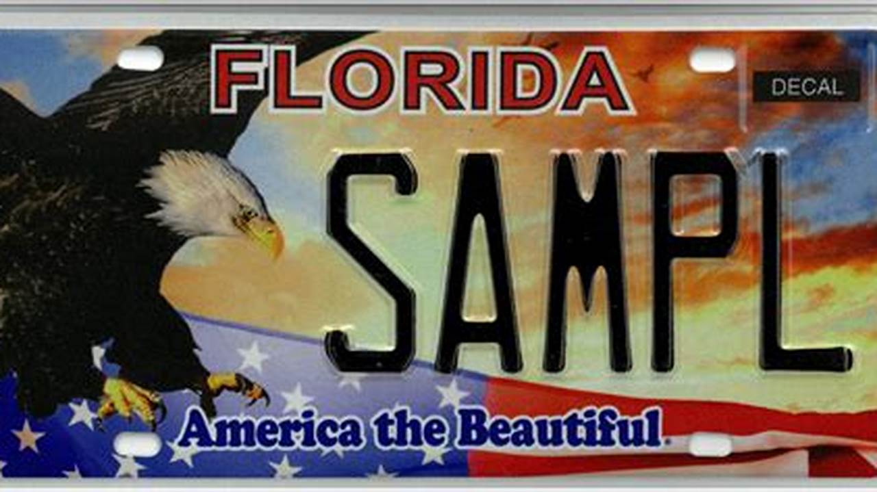 Florida Specialty License Plates 2024