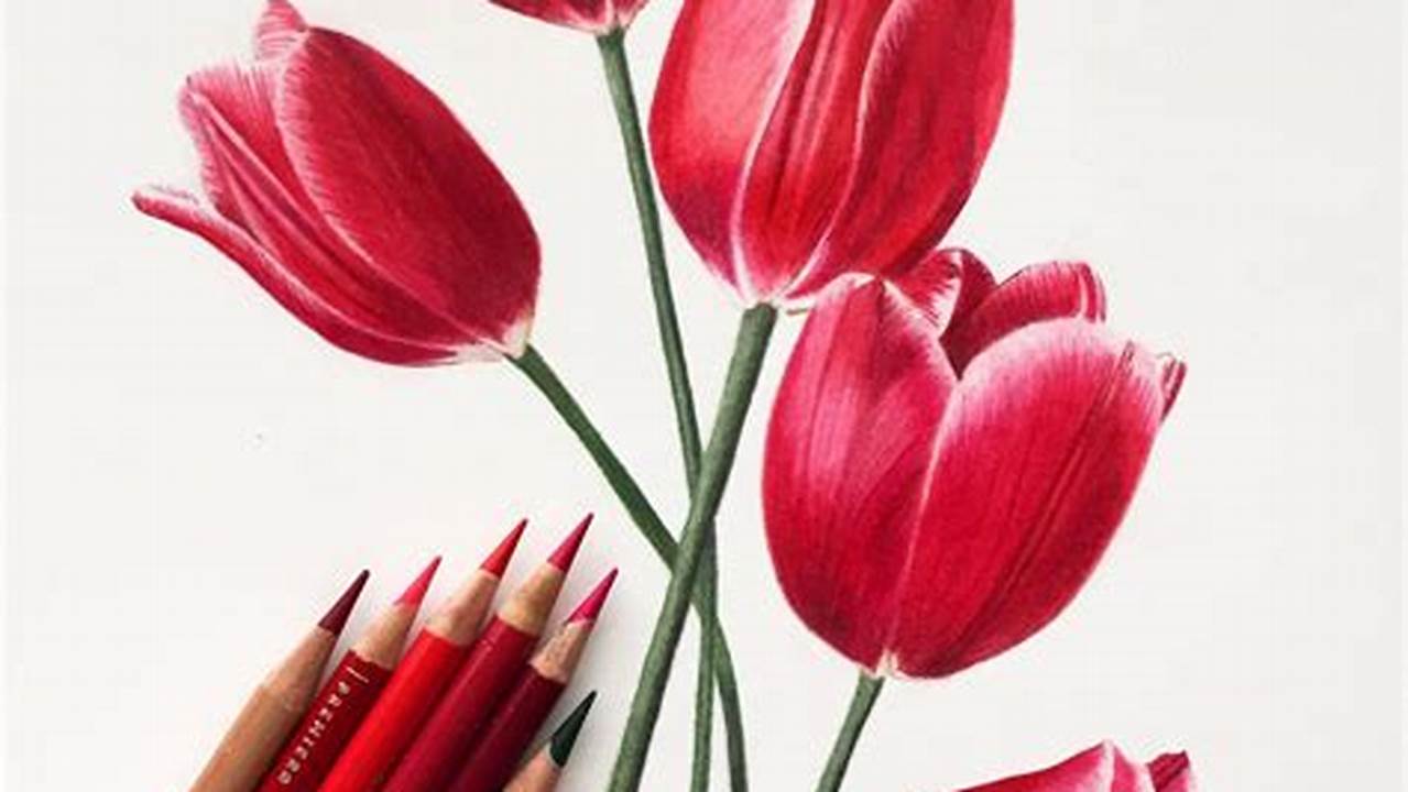 Coloring a Flower with Colored Pencils