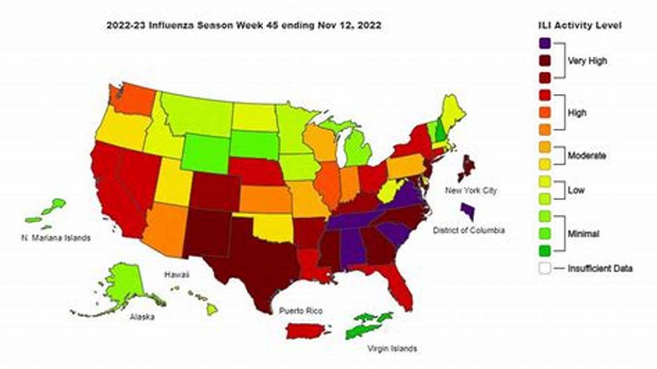 Flu 2024 Map