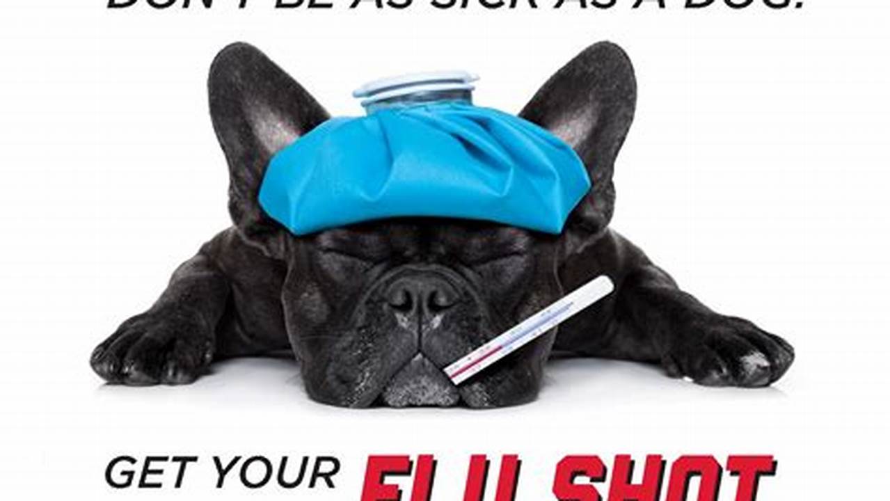 Flu Shots 2024