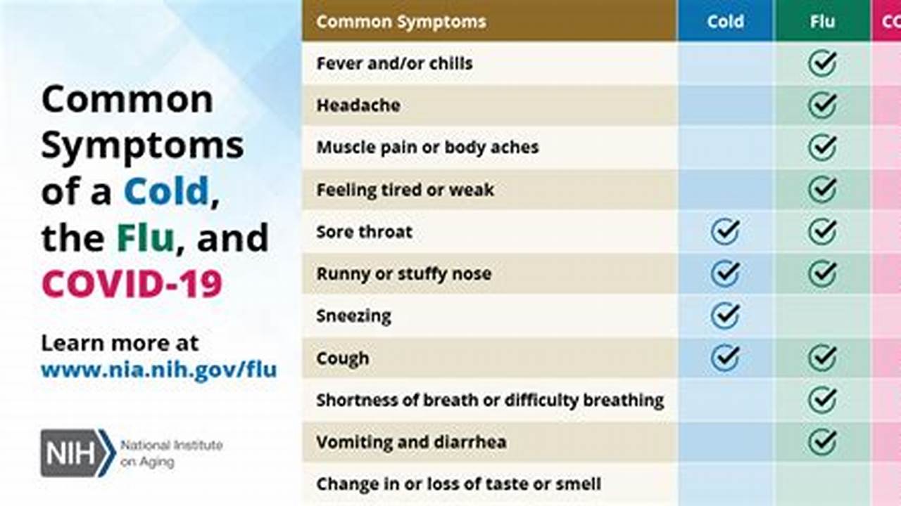 Flu Symptoms 2024 Adults Today 2024 Cdc