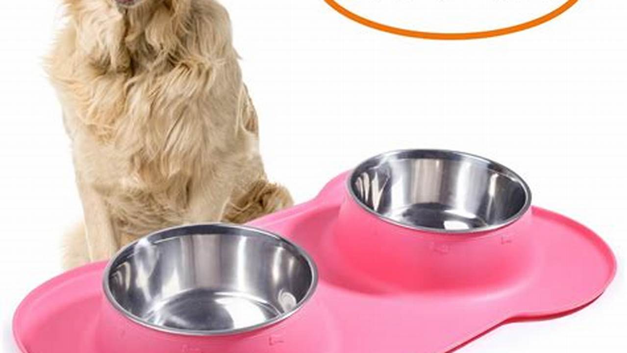 Food And Water Bowls, Pet Friendly Hotel