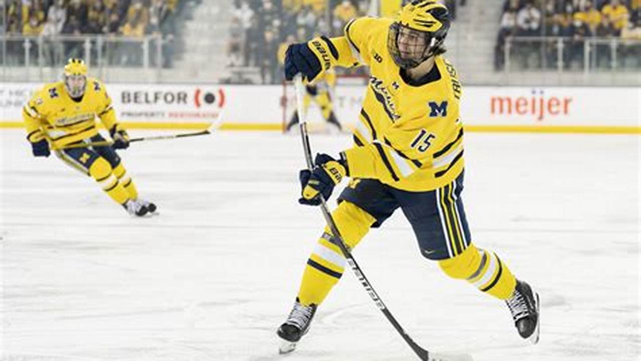 For The 2007, 2008, And 2009 Age Groups, The Main Purpose Of The Camps Is To Select The Players To Represent Michigan For Usa Hockey&#039;s National Player Development Camps This Summer., 2024