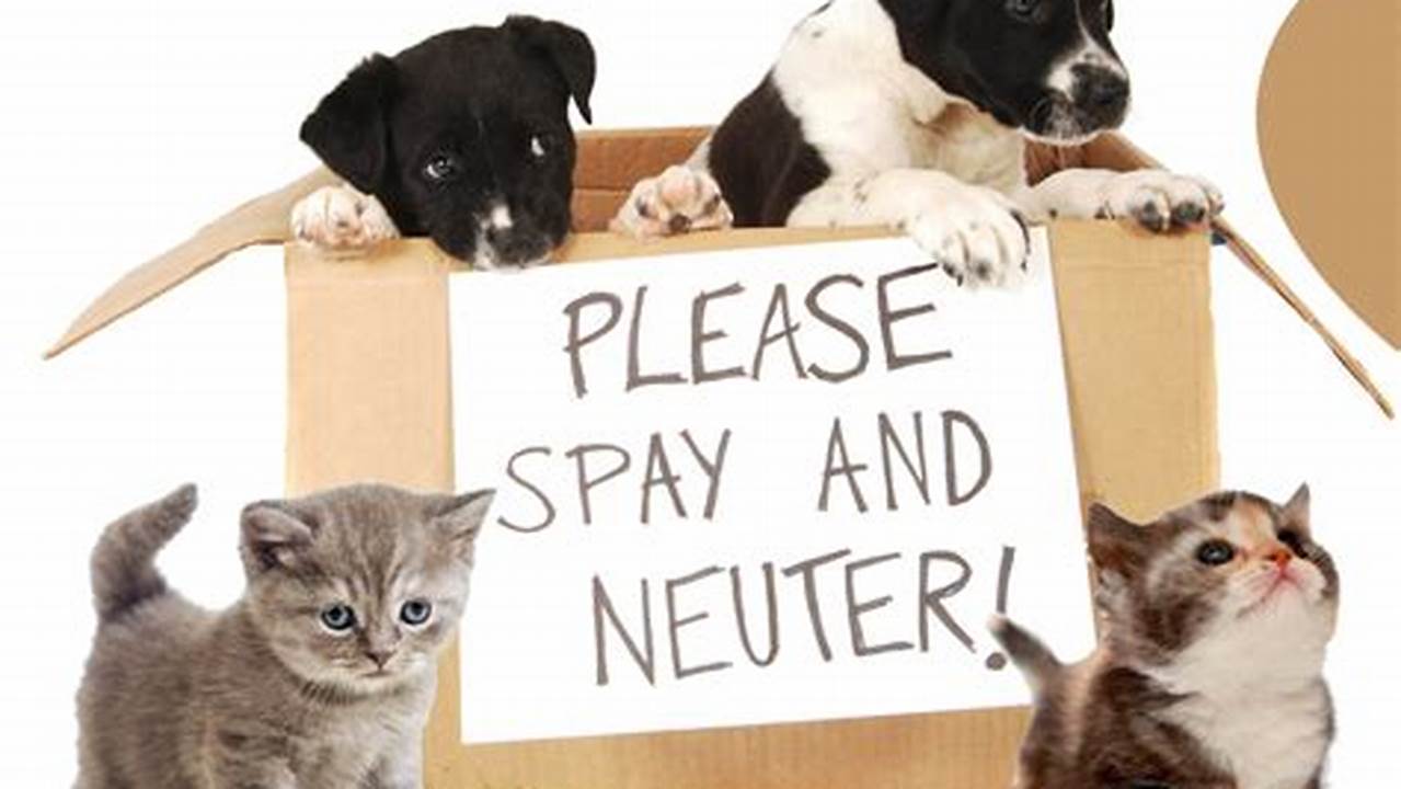 Free Spay And Neuter Riverside County 2024 Near Me