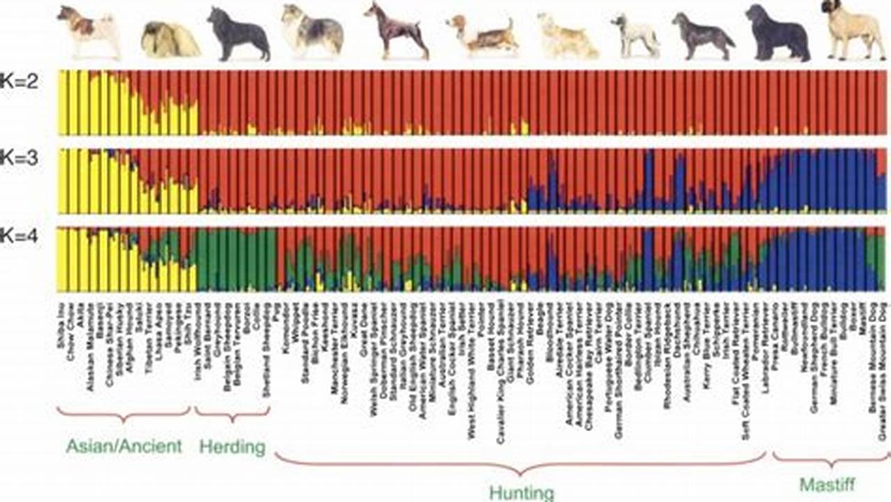 Frequency, Dog Breeds