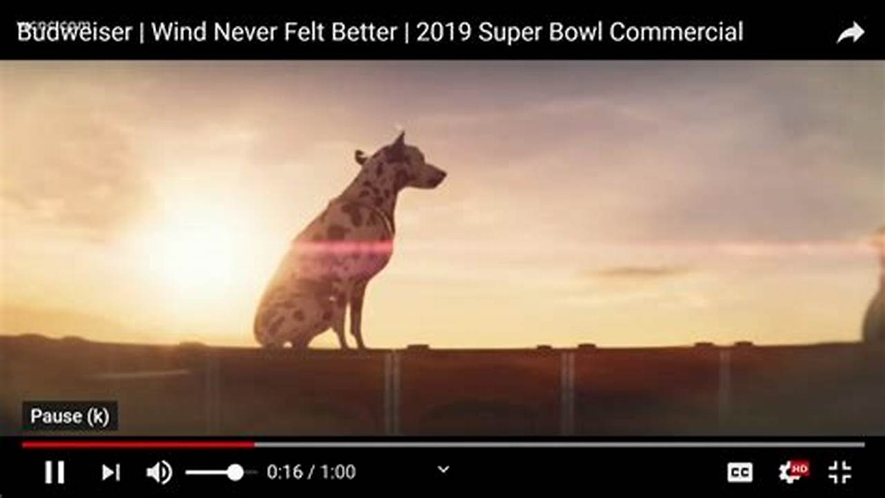Fresh Pet Super Bowl Commercial 2024