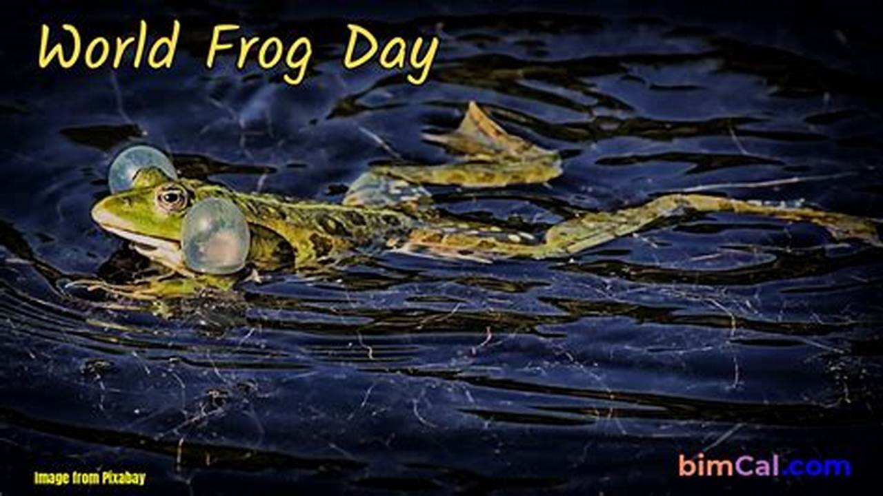 Frog Day 2024 Olympics