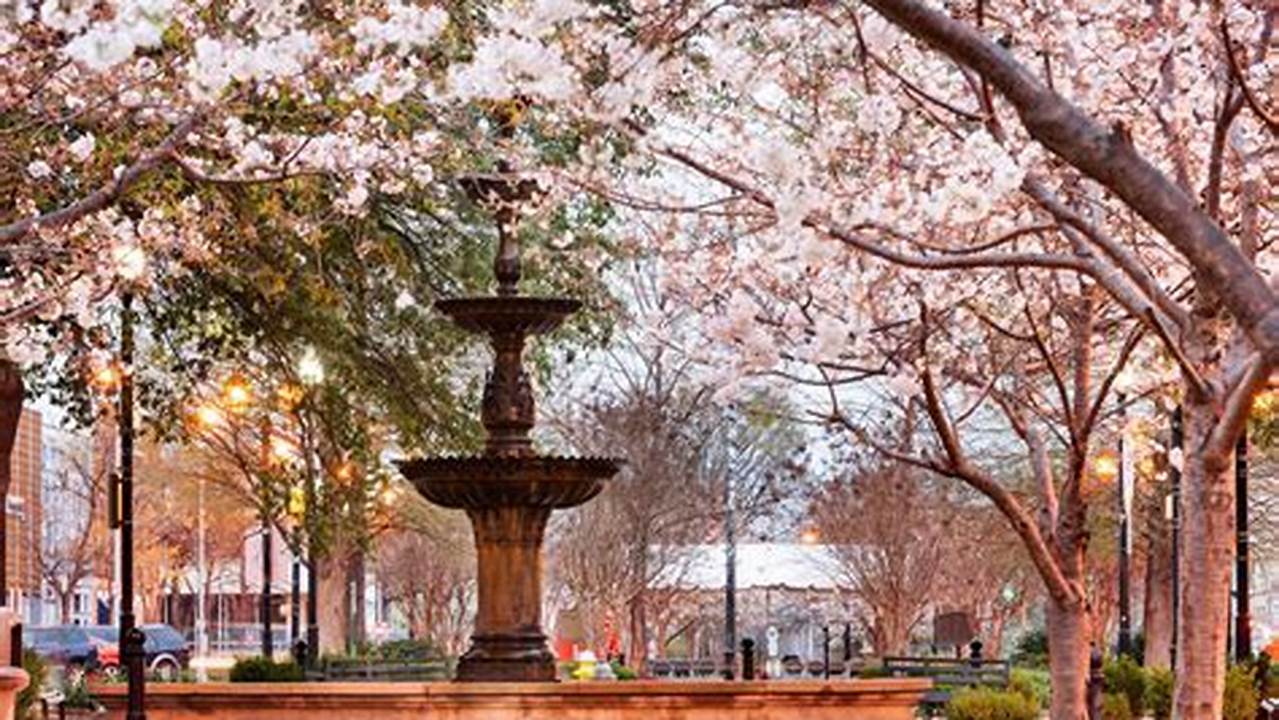 From Arts And Crafts Shows And Food Trucks To Free Concerts And Live Entertainment, These Georgia Cherry Blossom Festivals Are Sure To Be Fun., 2024
