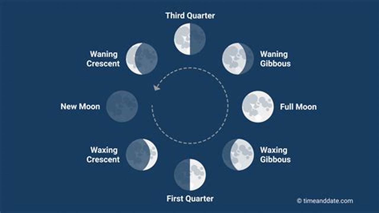 Full Moon, New Moon, First Quarter, Last Quarter Etc., 2024
