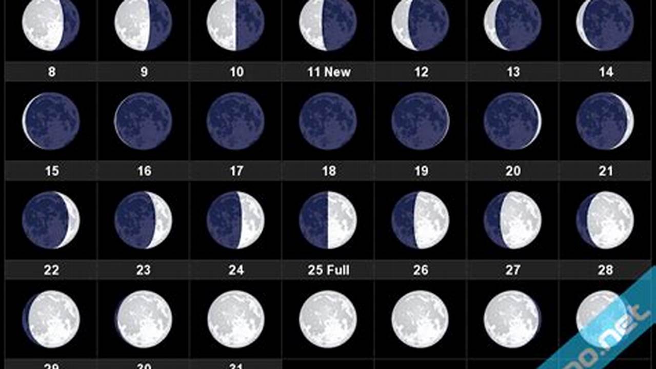 Full Moon Schedule January 2024