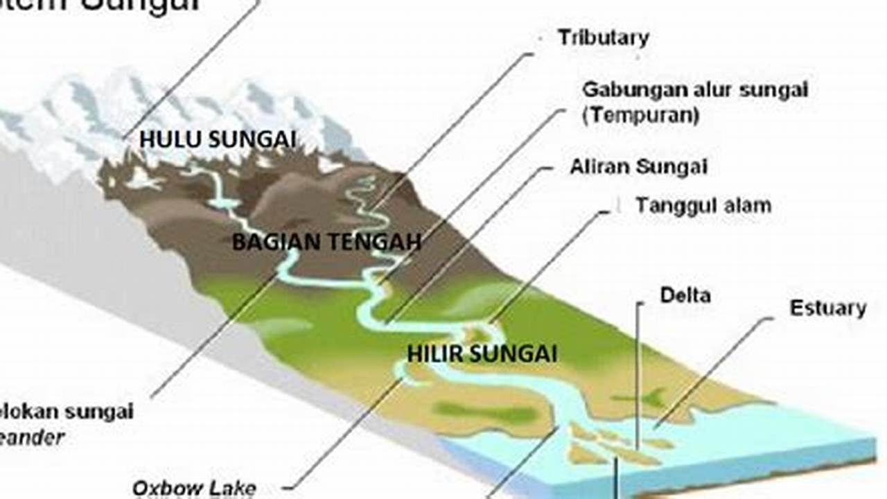 Geografi Dan Aliran Sungai Oyapock