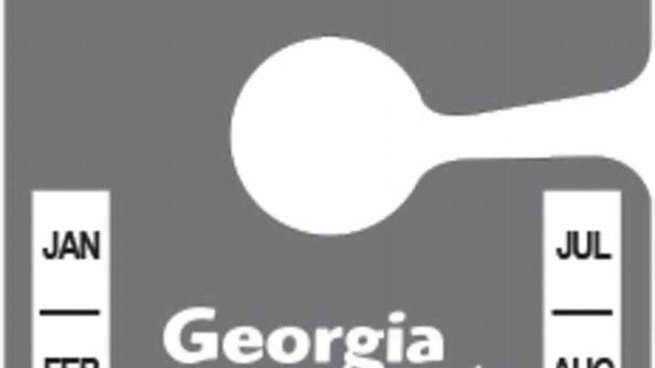 Georgia Bar Pass List July 2024