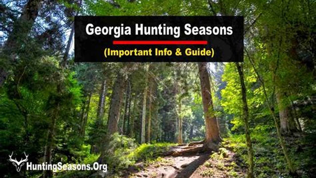 Georgia Hunting Season 2024-2024