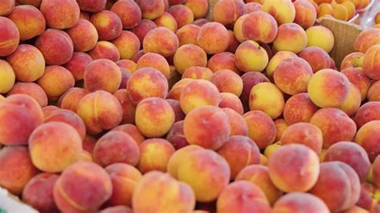 Georgia Peach Crop 2024