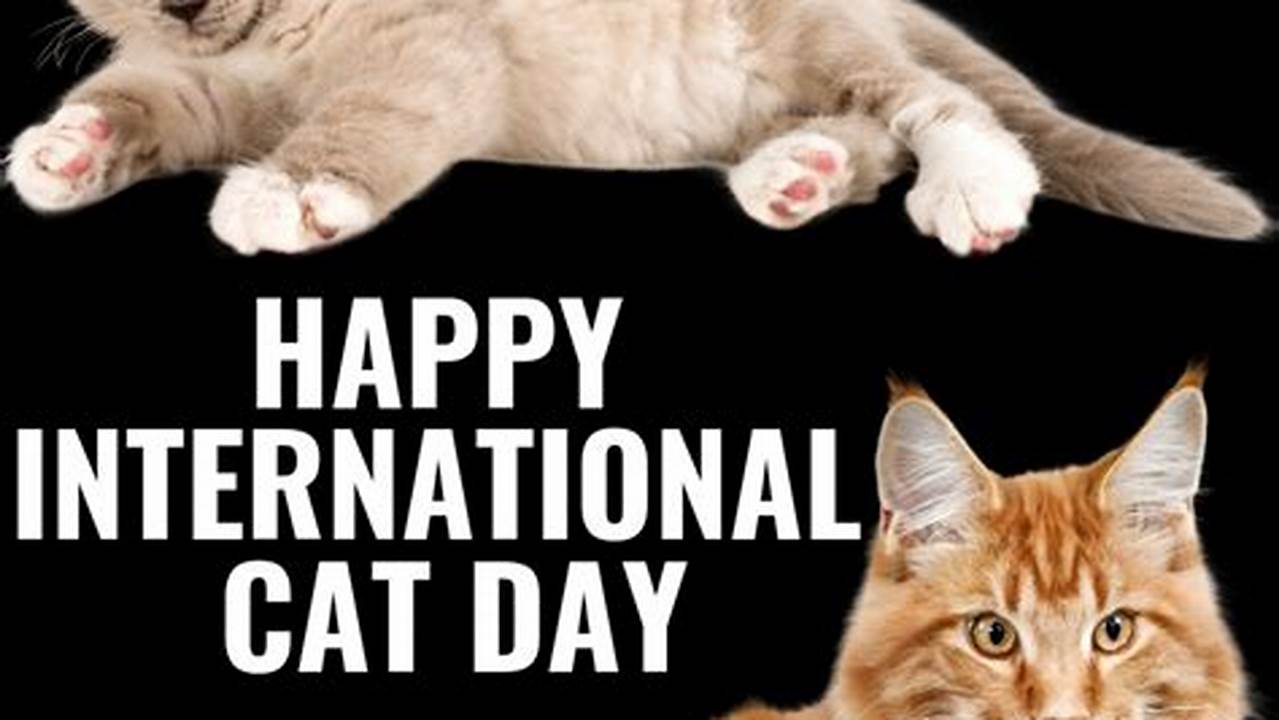 Global Cat Day 2024