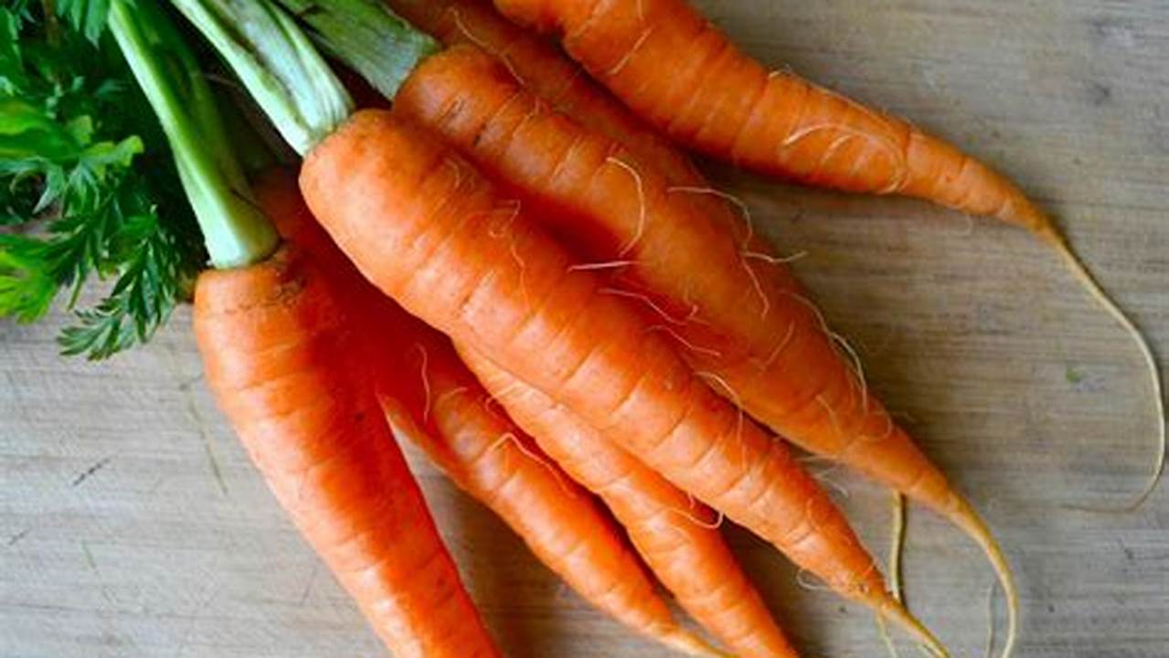 Golden Carrot (Wortel Emas), Resep6-10k