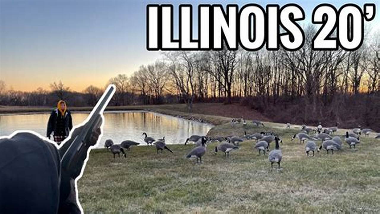 Goose Season Illinois 2024