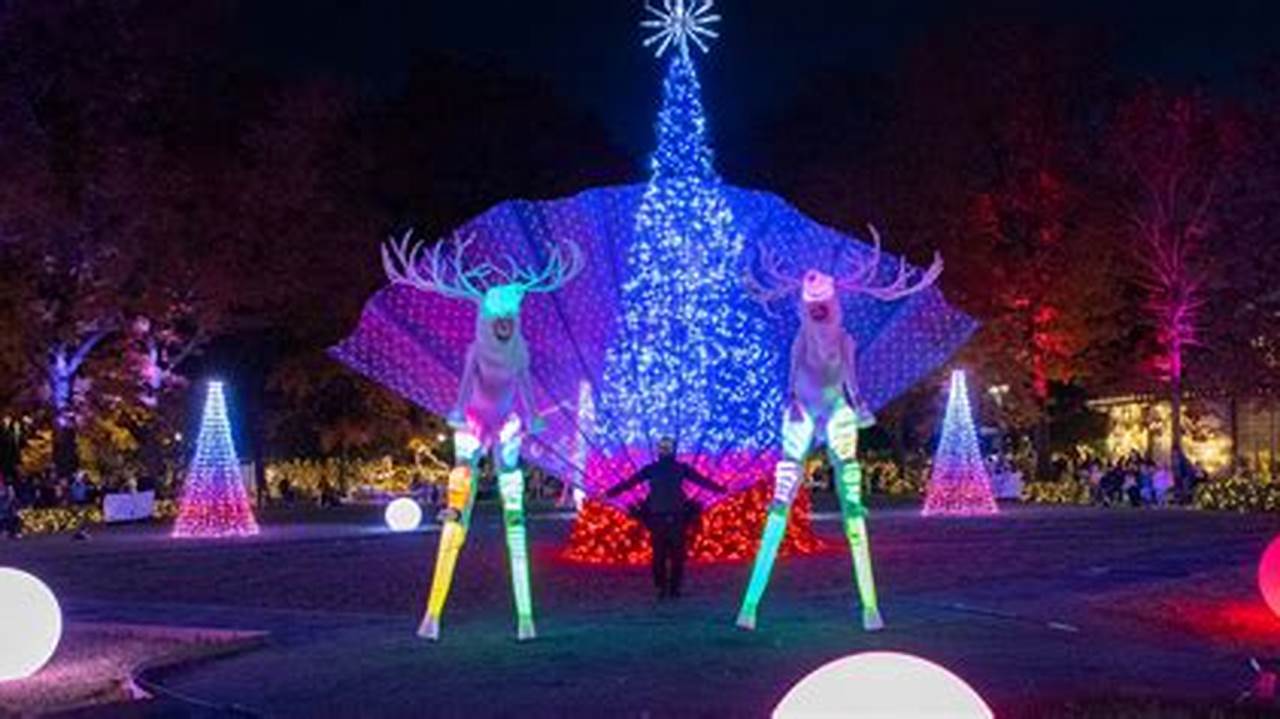 Greenville Zoo Christmas Lights 2024