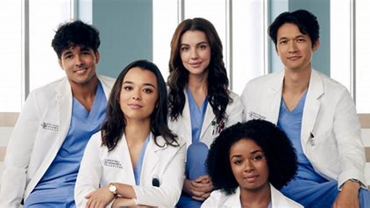 Grey's Anatomy Season 19 2024