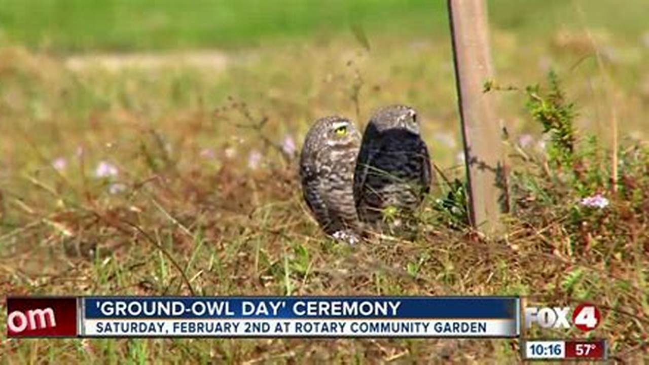 Ground Owl Day 2024